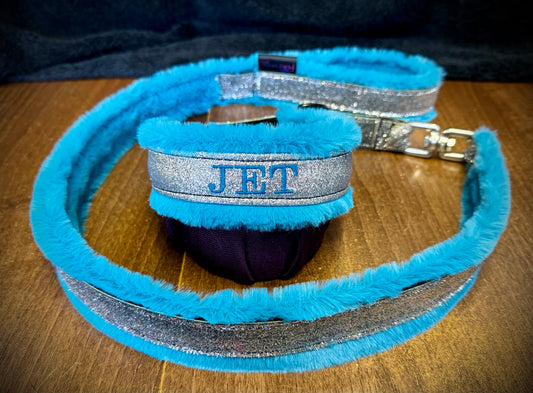 Custom Collar & Lead Set