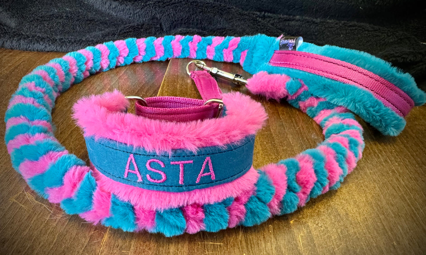 Custom Collar & Lead Set